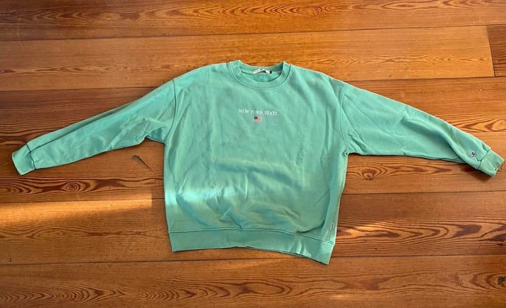 America Today Groene Trui Maat S, Kleding | Dames, Ophalen of Verzenden, Zo goed als nieuw, Maat 36 (S), Groen