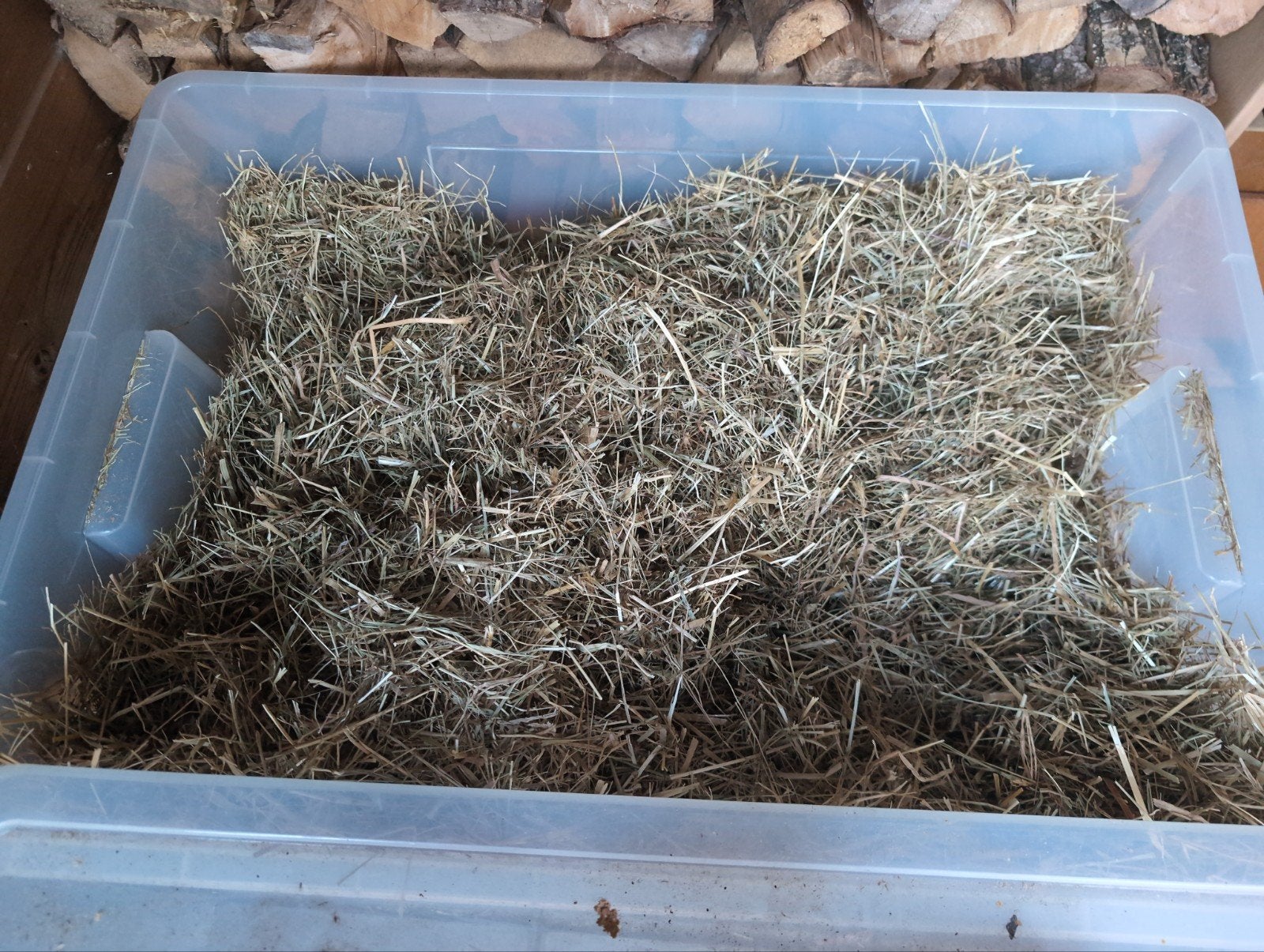 gratis baal hooi, Dieren en Toebehoren, Ophalen, Knaagdier of Konijn