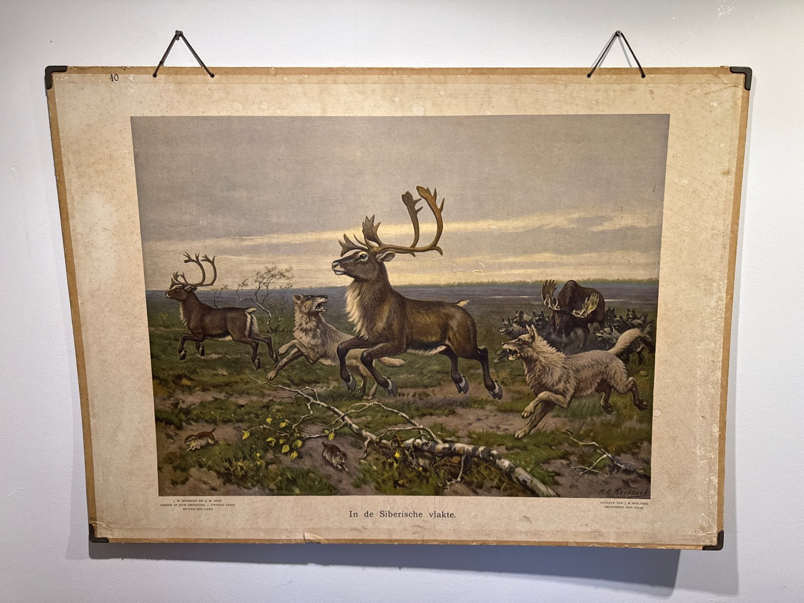 Antieke Schoolplaat: In de Siberische vlakte (102x74 cm), Antiek en Kunst, Ophalen, Natuur en Biologie
