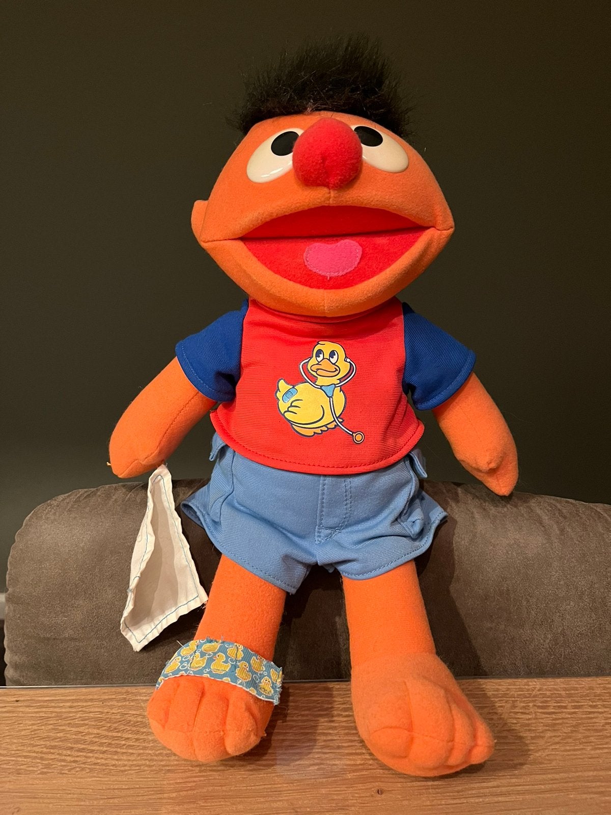 Gave Ernie pop knuffel, Kinderen en Baby's, Speelgoed | Knuffels en Pluche, Ophalen of Verzenden, Overige typen