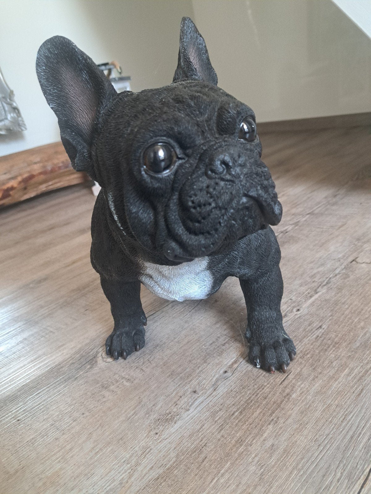 Levensechte Franse Bulldog beeld - Zwart, Ophalen, Zwart, Overige materialen, Zo goed als nieuw