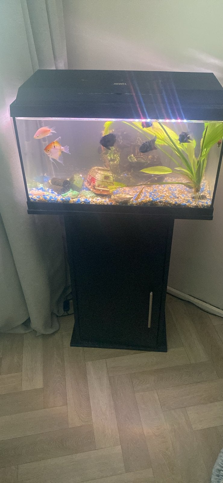 Aquarium, Ophalen of Verzenden