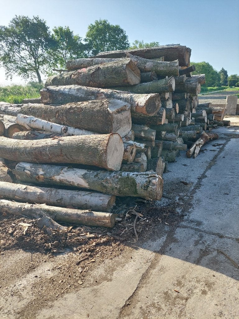 De ideale stammen mix. ACTIEPRIJS, Tuin en Terras, Haardhout, 6 m³ of meer, Ophalen, Stammen