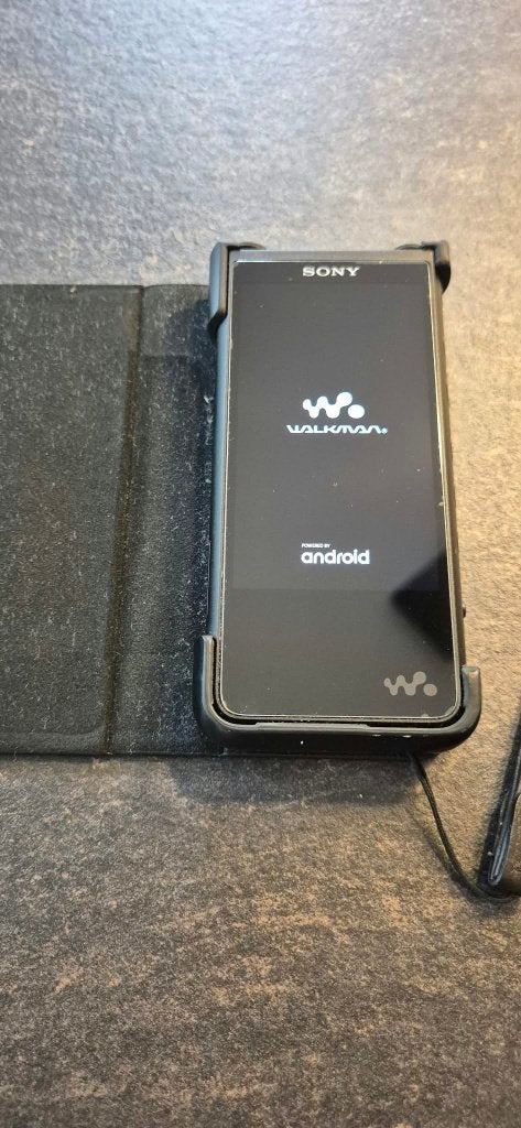 Sony NW-ZX507 Walkman Zwart – Met OVP & Lederen Case, Ophalen of Verzenden, Zo goed als nieuw, Sony, 40 GB en meer