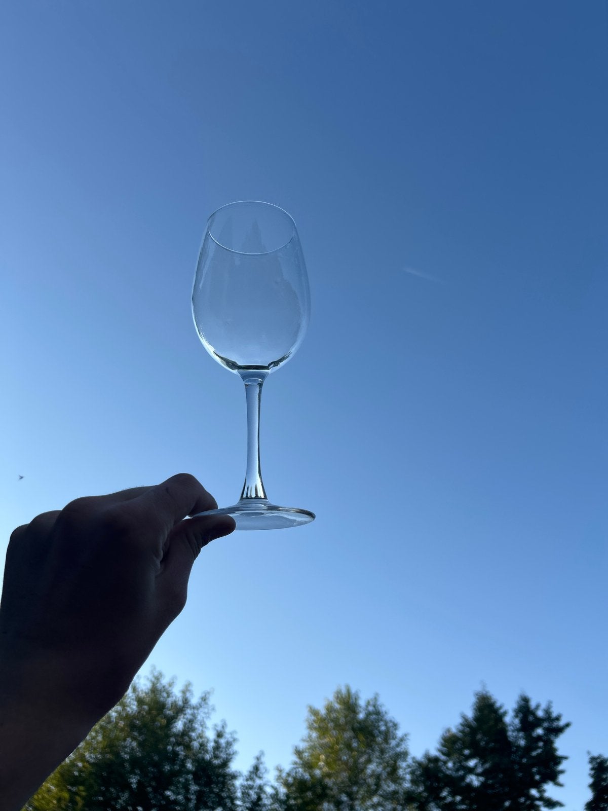 Mooie klassieke wijnglazen, volledig intact, Glas of Glazen, Klassiek, Ophalen of Verzenden, Glas