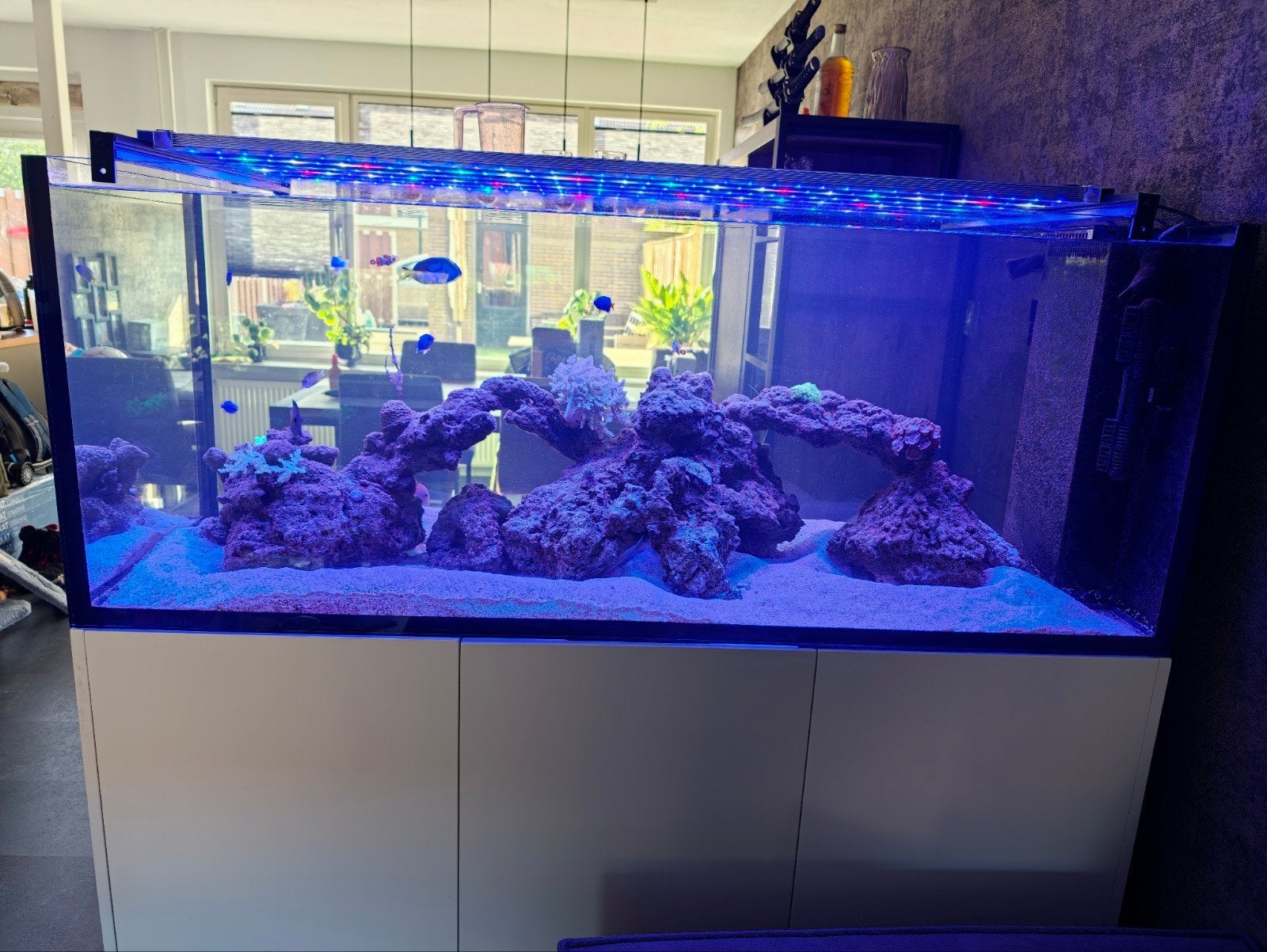 LEEG aquarium met techniek, waterbox peninsula 6025, Ophalen, Gebruikt, Inclusief slangen, Overige merken