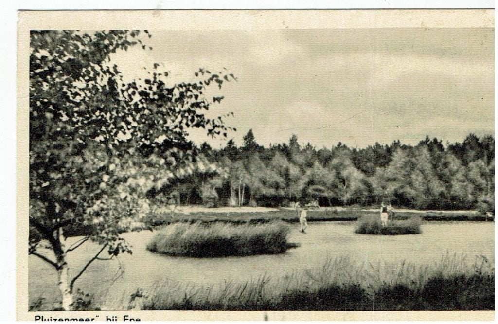 pluizenmeer bij epe, Ophalen of Verzenden, Voor 1920, Gelopen, Gelderland