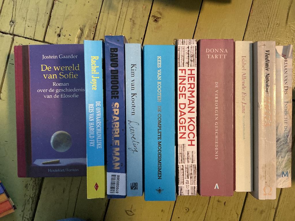 Diverse nederlande  boeken romans, Ophalen, Gelezen