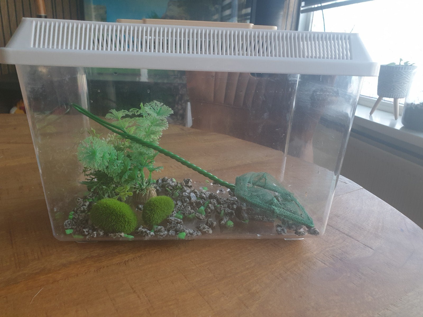 nieuwe kunststof faunabox 27x18., Dieren en Toebehoren, Ophalen of Verzenden, Inclusief planten, Nieuw