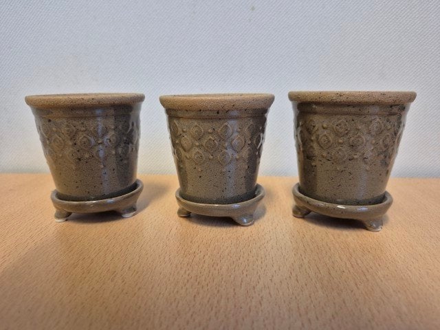 Cactuspotjes met onderzetters, Tuin en Terras, Bloempotten, Ophalen of Verzenden, Overige vormen, Aardewerk, Binnen