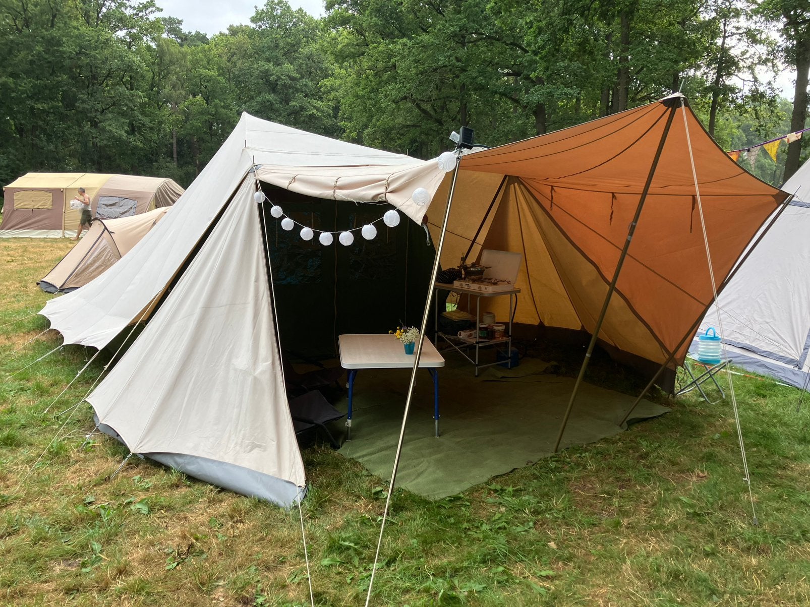 De waard lepelaar inclusief aanhangwagen Saris, Ophalen, Gebruikt, Tot en met 4