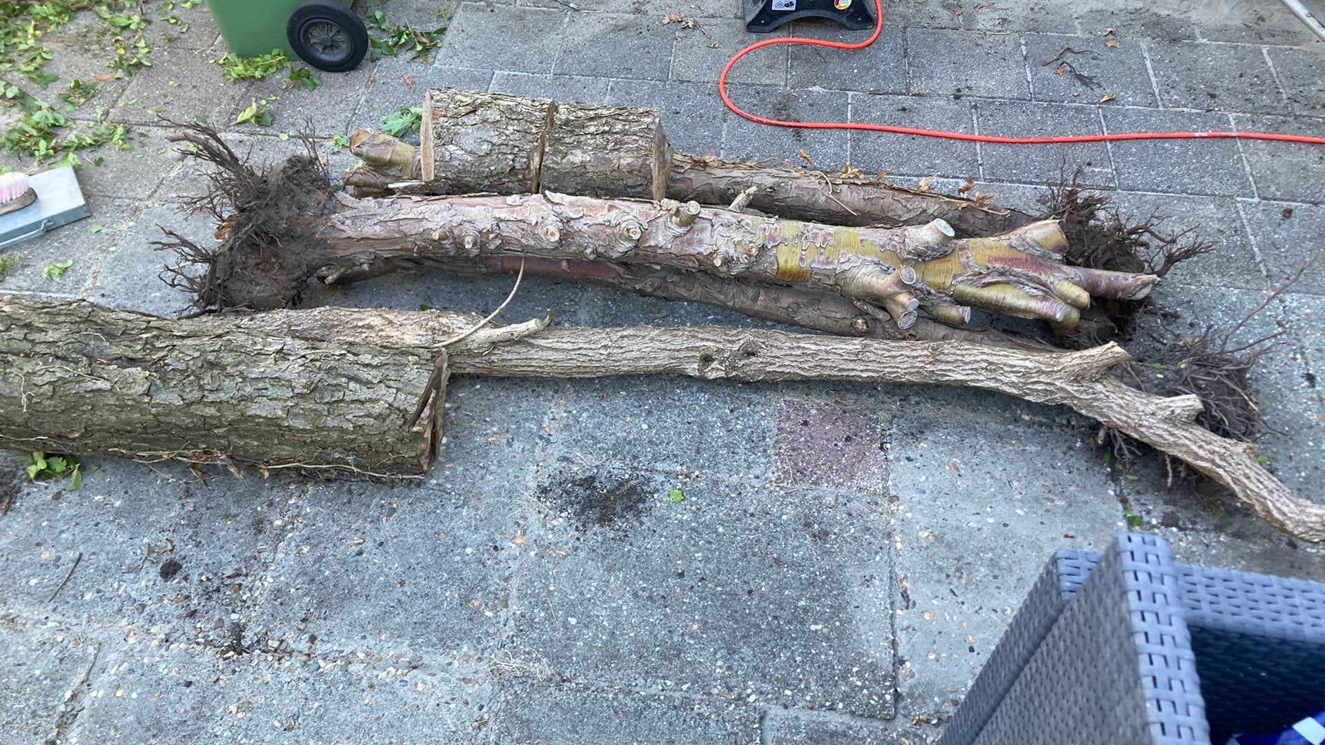Gratis hout!, Tuin en Terras, Haardhout, Minder dan 3 m³, Ophalen