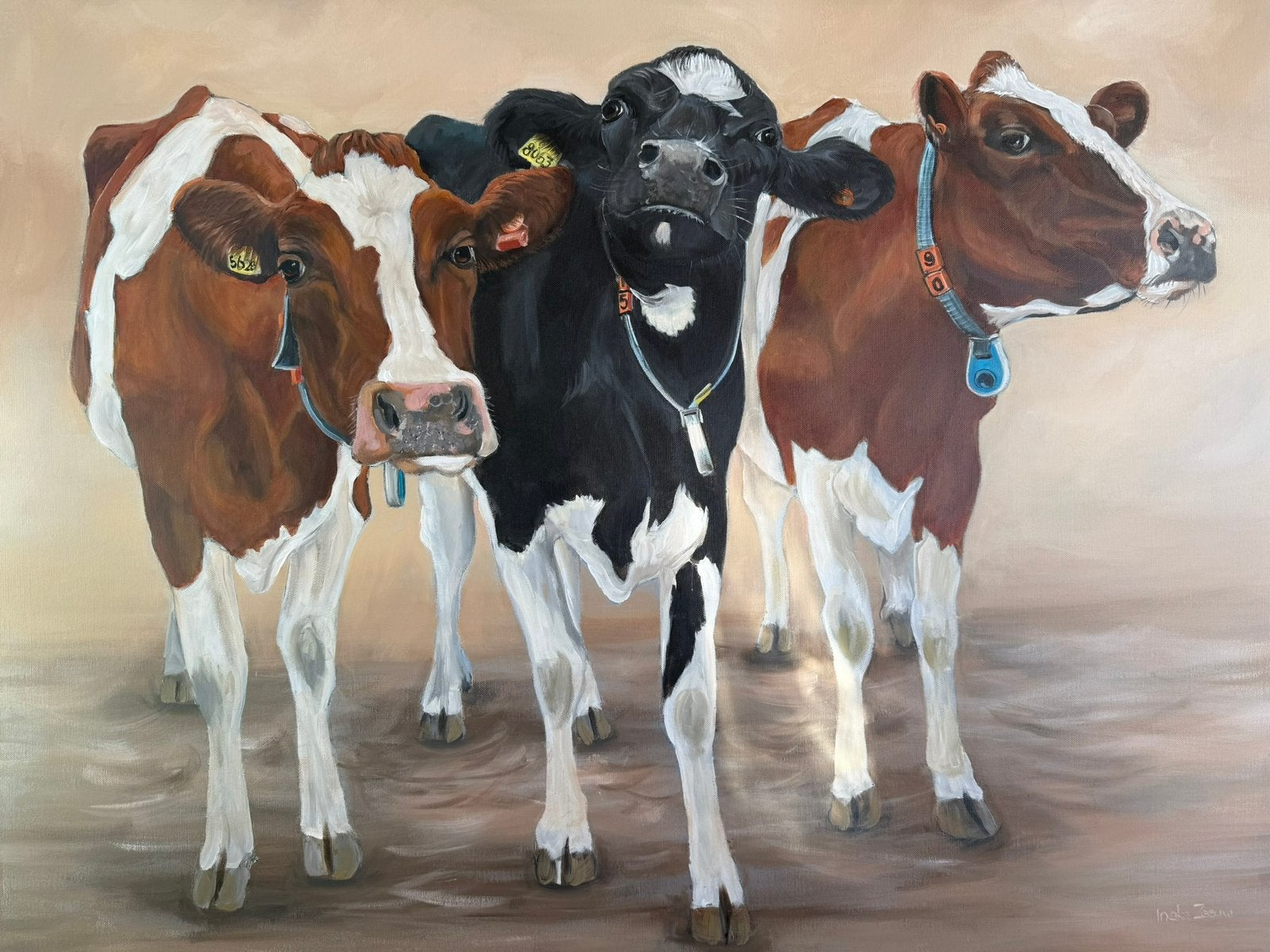 Schilderij koeien uit eigen atelier, 50 – 75, Oorspronkelijke maker, Nieuw, Ophalen of Verzenden