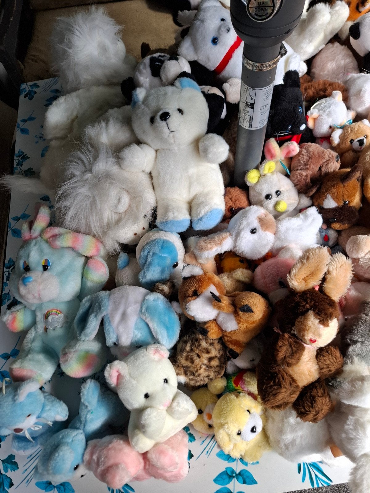 Grote collectie knuffels - Diverse soorten en maten, Ophalen, Gebruikt, Beer, Middelgroot (20 tot 80 cm)