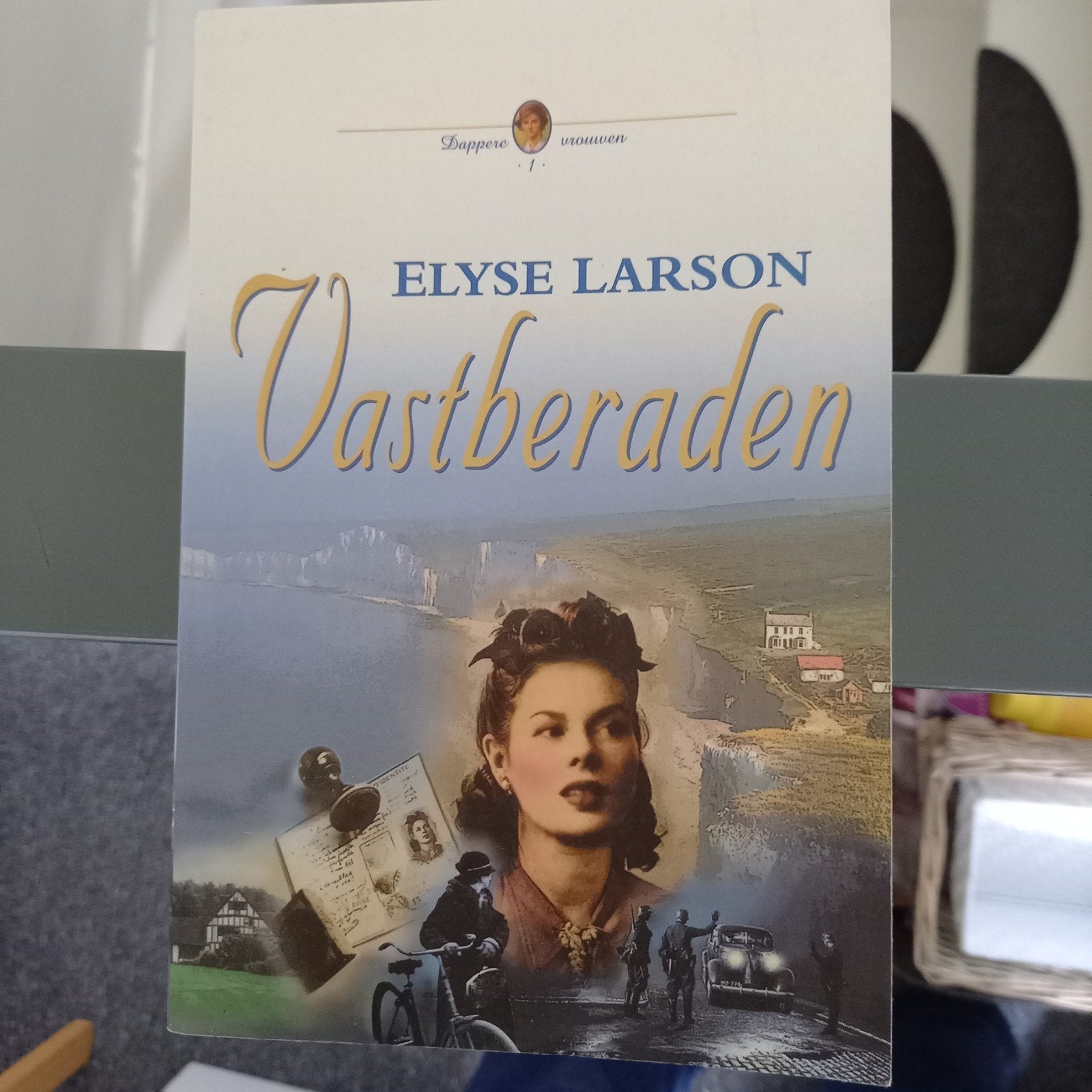 Boekenpakket: Lucinda Riley, Kristin Hannah, Lynn Austin, Boeken, Ophalen, Gelezen, Nederland