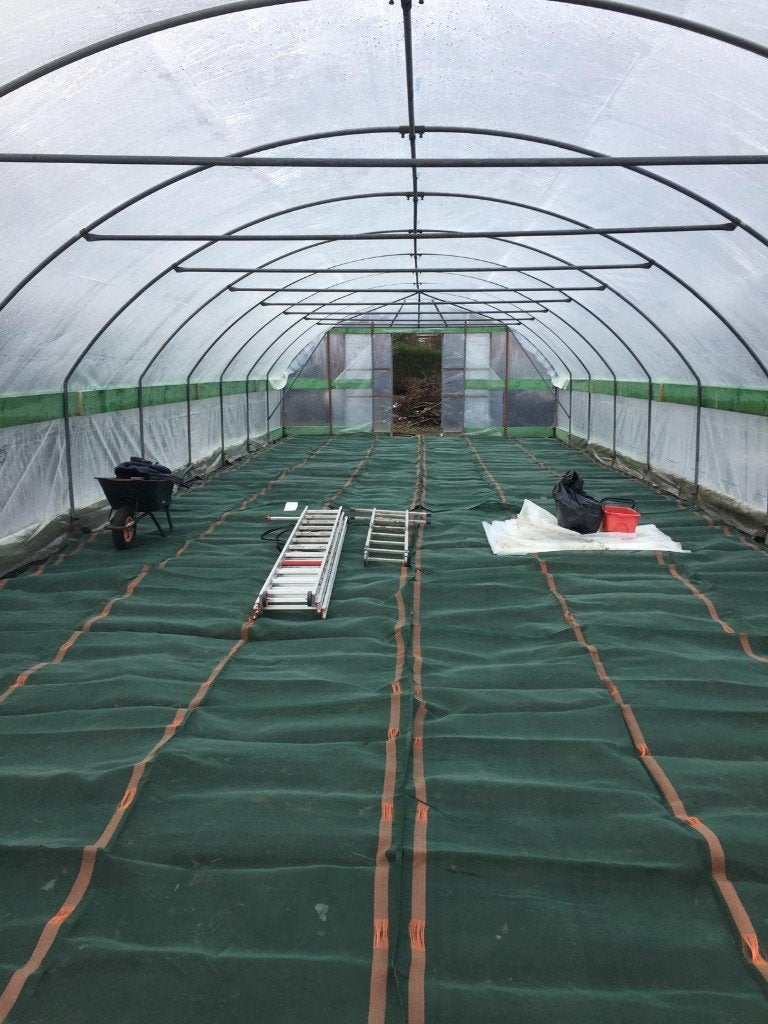 Polytunnel 20 m x 6 m met dubbele schuifdeuren, Gebruikt, Folie, Kweekkas, Ophalen