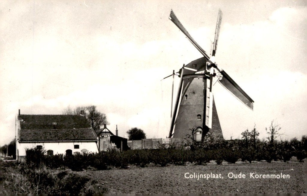 Colijnsplaat Oude Korenmolen # 19, Verzenden, 1940 tot 1960, Ongelopen, Zeeland