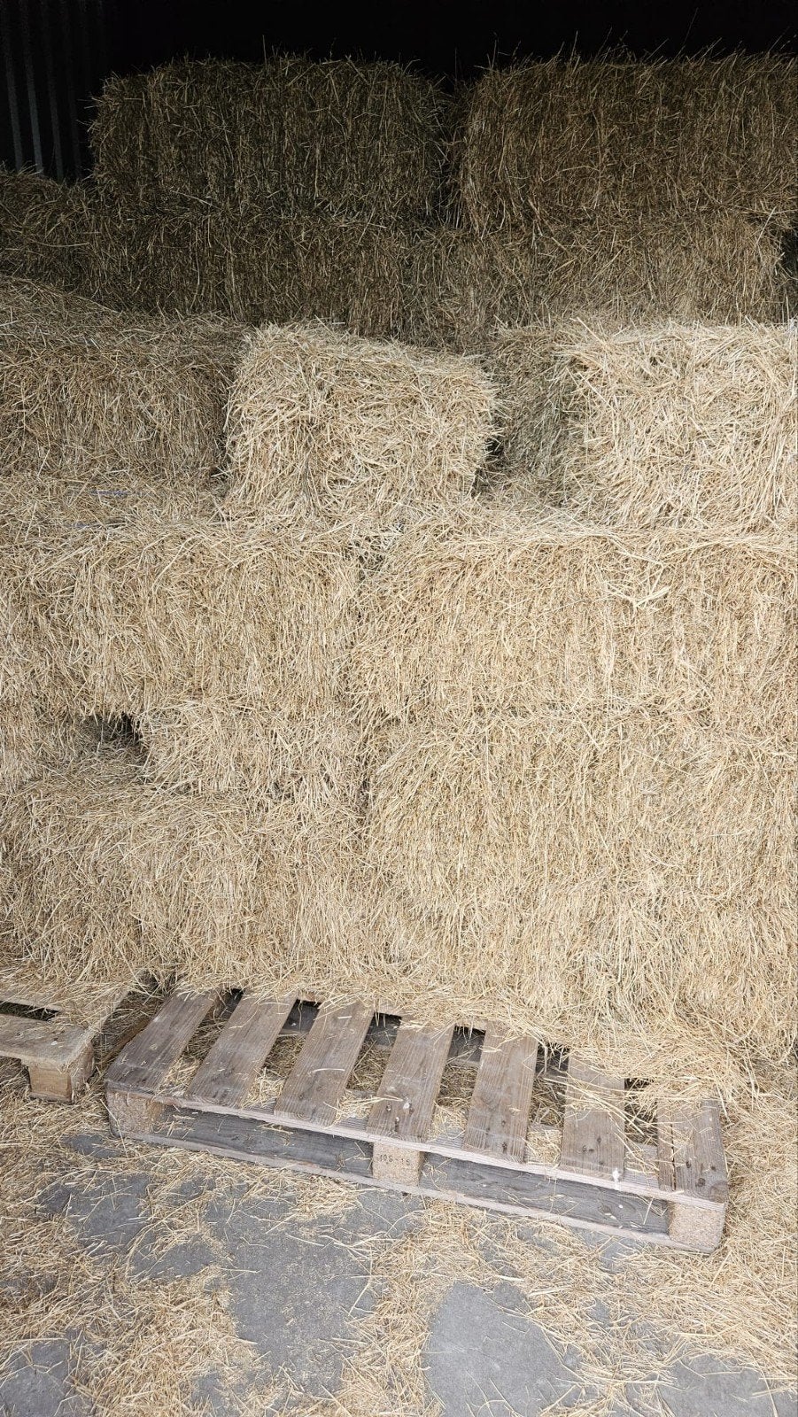 Hooibalen tweede snee, Dieren en Toebehoren, Dierenvoeding, Ophalen, Vee