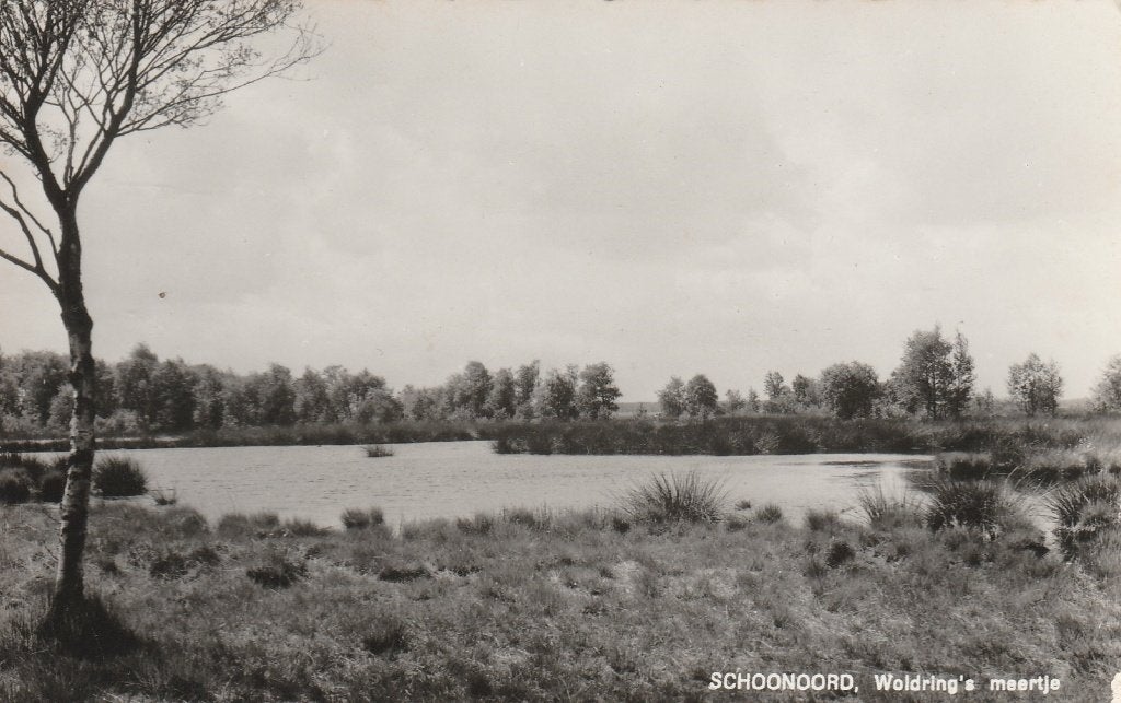 Schoonoord    Woldrings meertje, Ophalen of Verzenden, 1940 tot 1960, Ongelopen, Drenthe