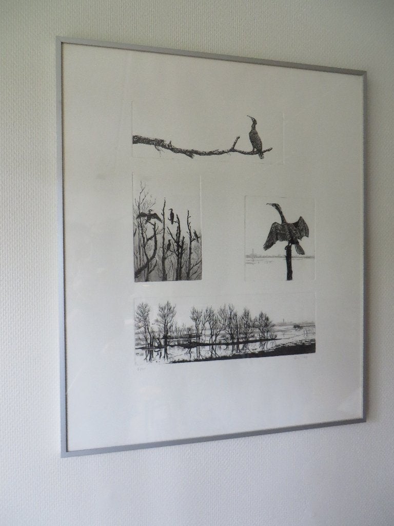 Ets compilatie van aalscholvers, door Ans van der Zweep 1993, Antiek en Kunst, Ophalen of Verzenden, Flora en Fauna, 61 cm, 1950 - 1999