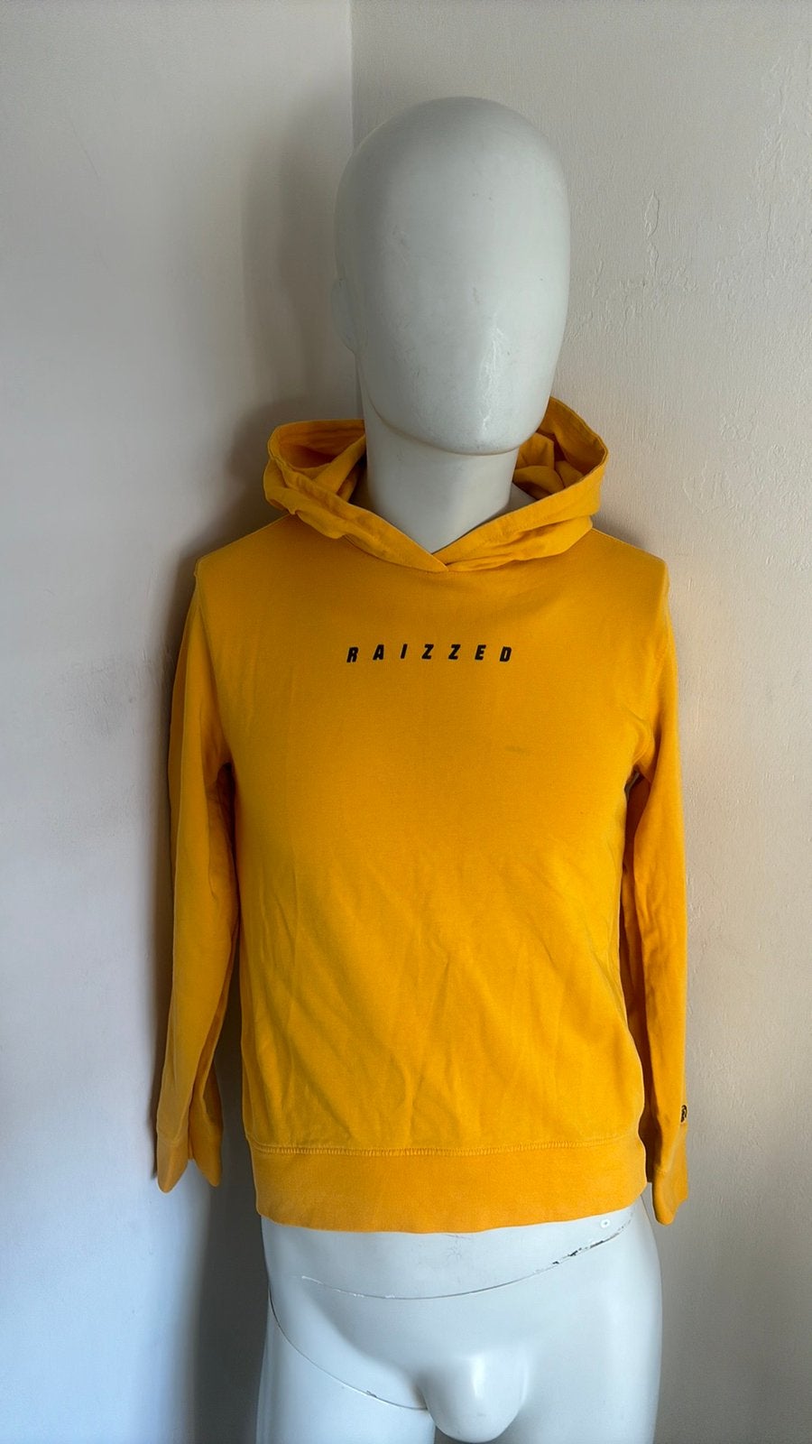 Raizzed hoodie maat 164, Ophalen of Verzenden, Zo goed als nieuw, Jongen, Trui of Vest