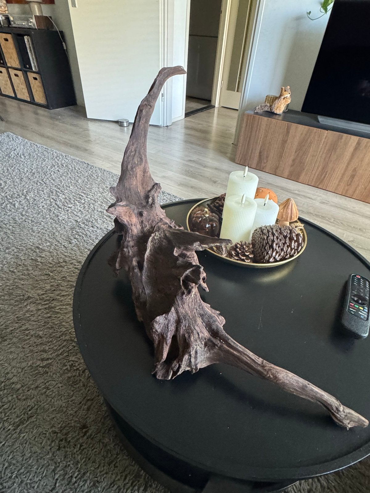 aquarium hout mangrove xxl, Ophalen of Verzenden