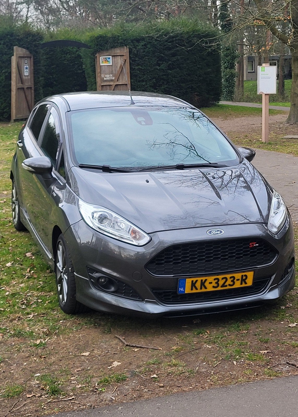 Ford Fiësta st-line  1.0 ecoboost  2016 Grijs, Voorwielaandrijving, Stof, Zwart, 100 pk