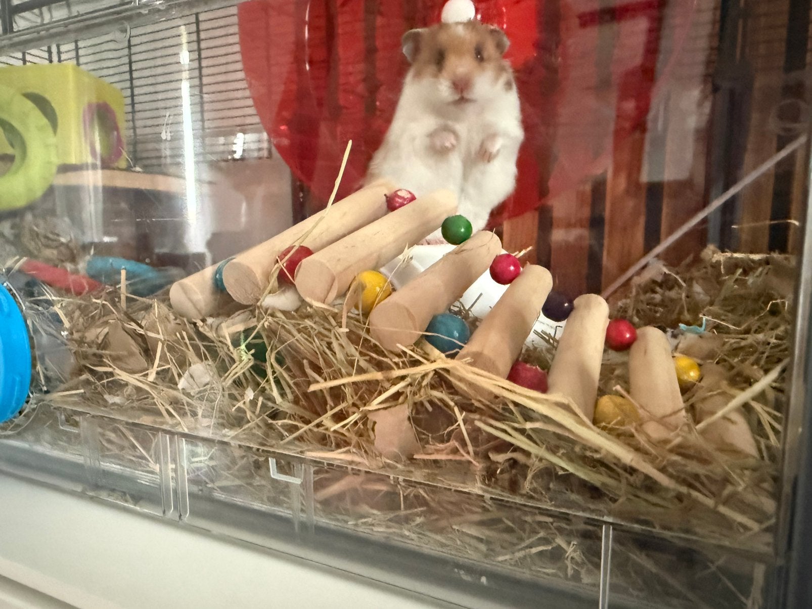 Dwerghamster zoekt een nieuwe huisje, Eén persoon, Overige typen