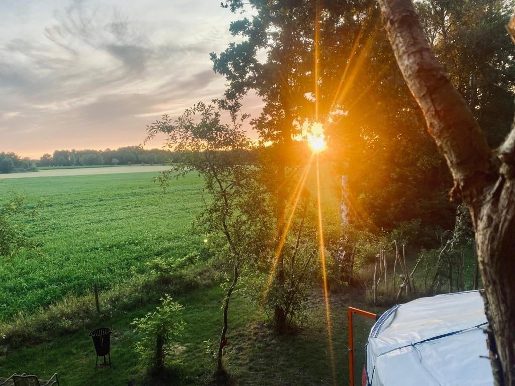 Yurt , Ger, last minute, In bos, Sauna, Overige typen, Landelijk