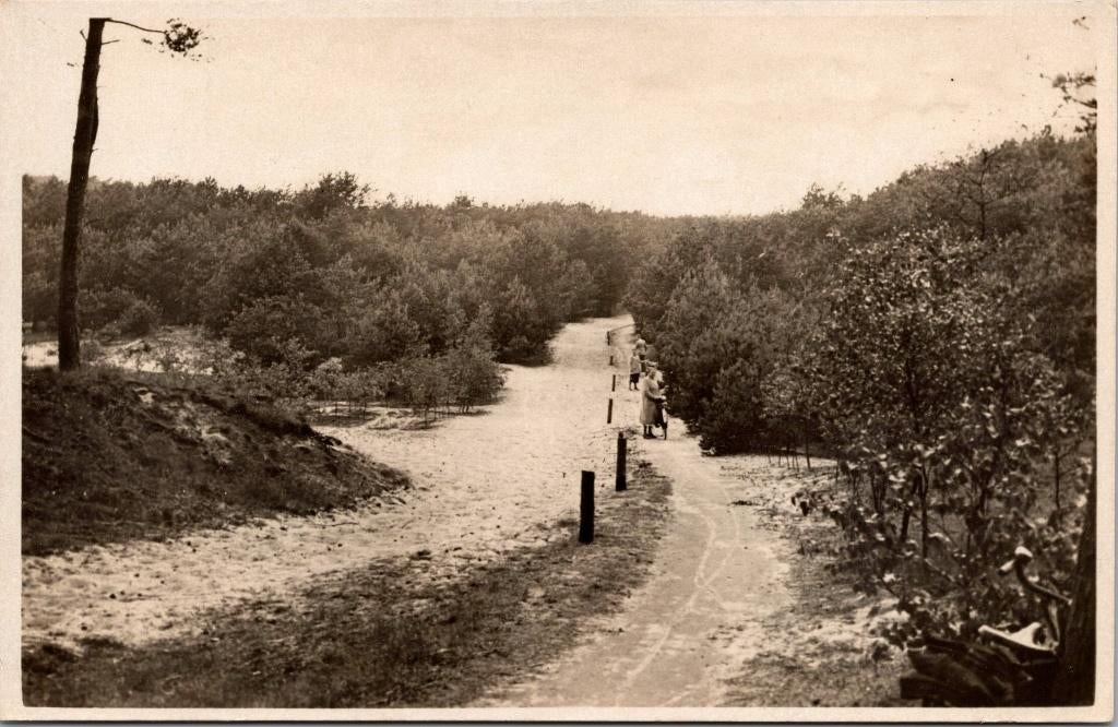 Elspeet - Omgeving, Ophalen of Verzenden, 1940 tot 1960, Ongelopen, Gelderland