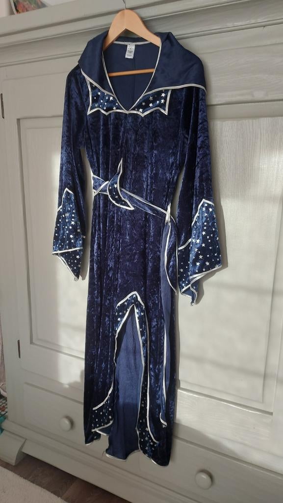 Carnaval dames, Ophalen, Zo goed als nieuw, Maat 46/48 (XL) of groter, Carnaval