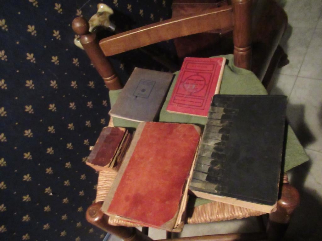 5 Woordenboeken Nederlands, Boeken, Woordenboeken, Gelezen, Allerlei, Ophalen of Verzenden, Overige uitgevers