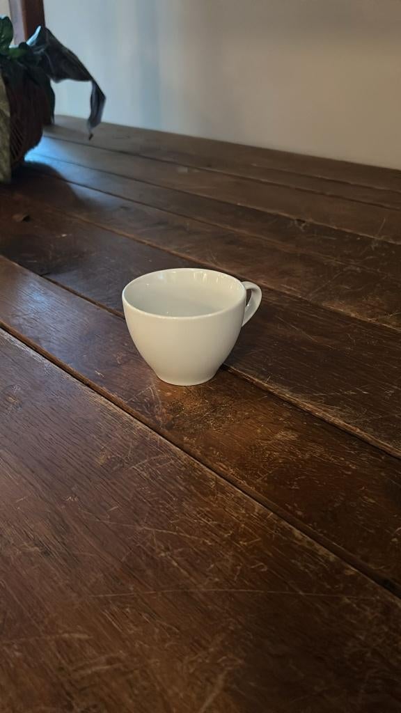 cappuccino kopje, Keramiek, Ophalen of Verzenden, Zo goed als nieuw, Overige stijlen