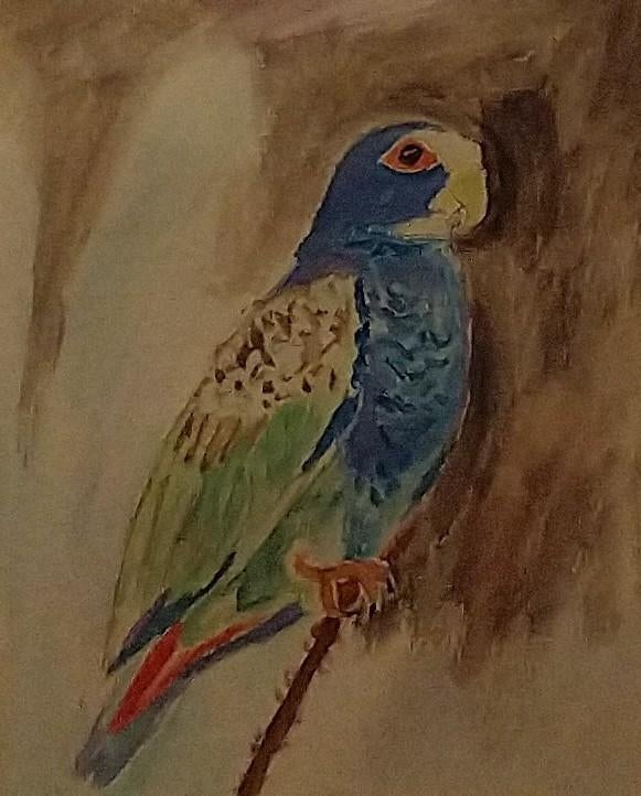 Aquarel, Ophalen of Verzenden