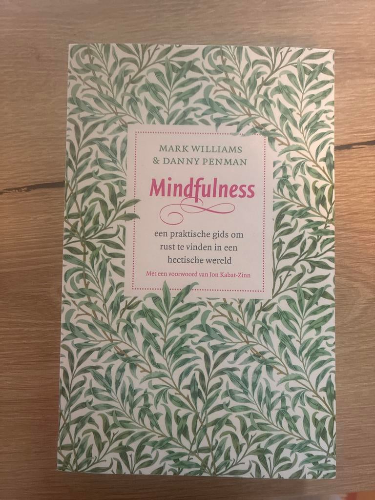 Mindfulness boek Mark williams en danny penman, Ophalen of Verzenden, Zo goed als nieuw, Meditatie of Yoga, Achtergrond en Informatie