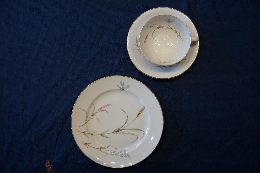 Servies Vintage Zeh Scherzer Bavaria – "Golden Harvest", Antiek en Kunst, Ophalen of Verzenden