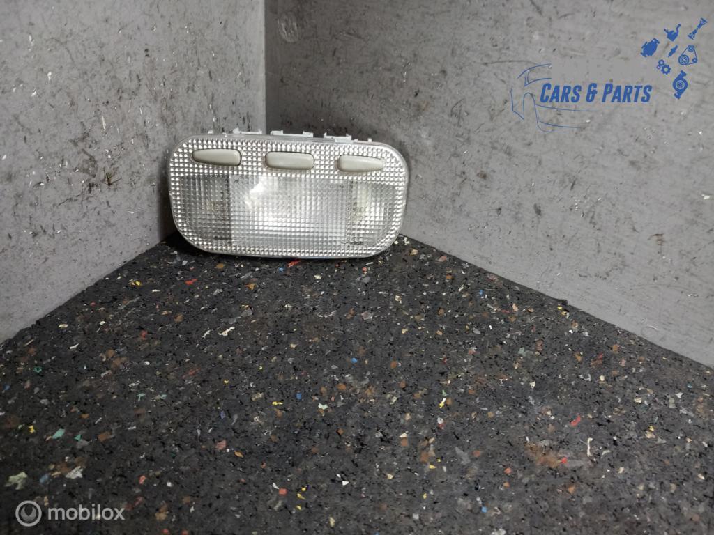 Binnenverlichting Peugeot 307 Midden 2001 t/m 2007, Ophalen of Verzenden, Gebruikt