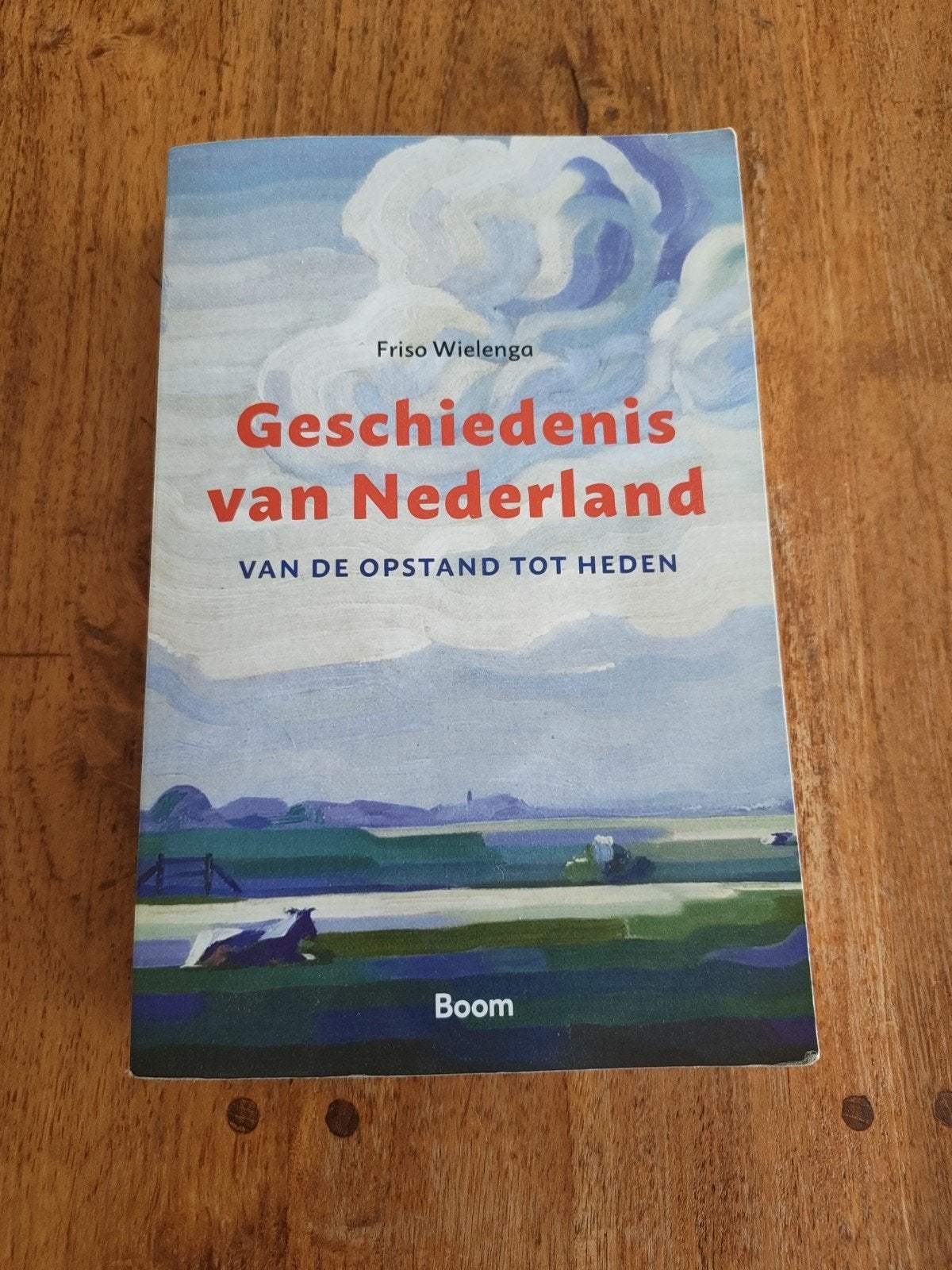 Friso Wielenga - Geschiedenis van Nederland, Ophalen of Verzenden, Zo goed als nieuw, Friso Wielenga