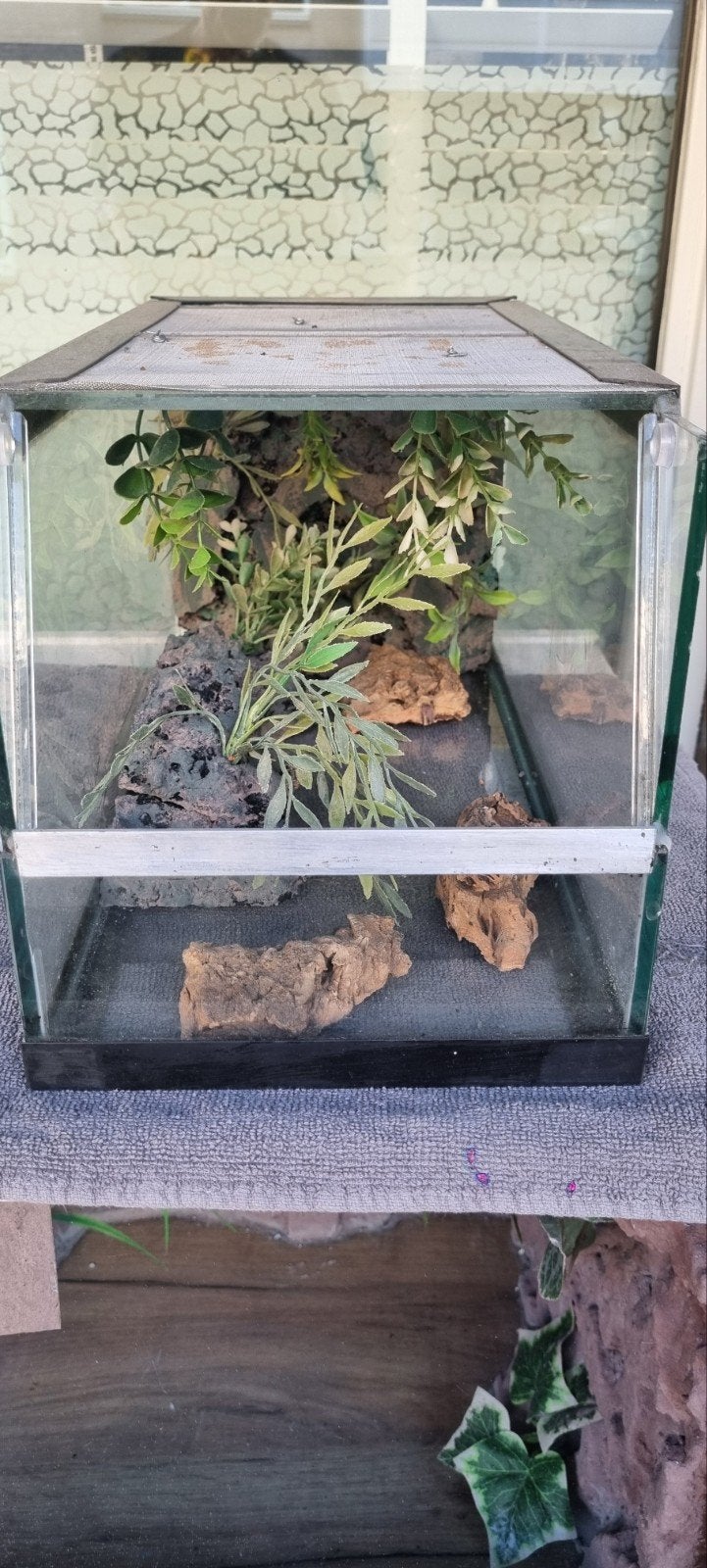 Terrarium 20x40x20, Ophalen of Verzenden