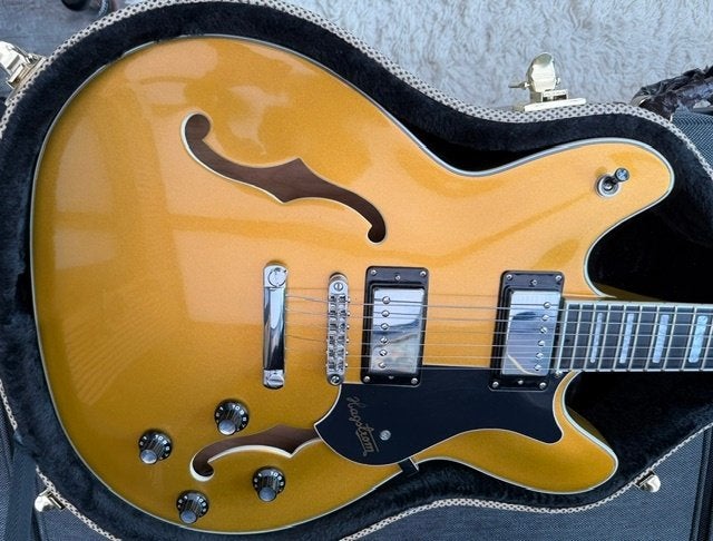 Super mooi is deze Hagstrom !!!!, Muziek en Instrumenten, Ophalen of Verzenden, Zo goed als nieuw, Semi-solid body, Overige merken
