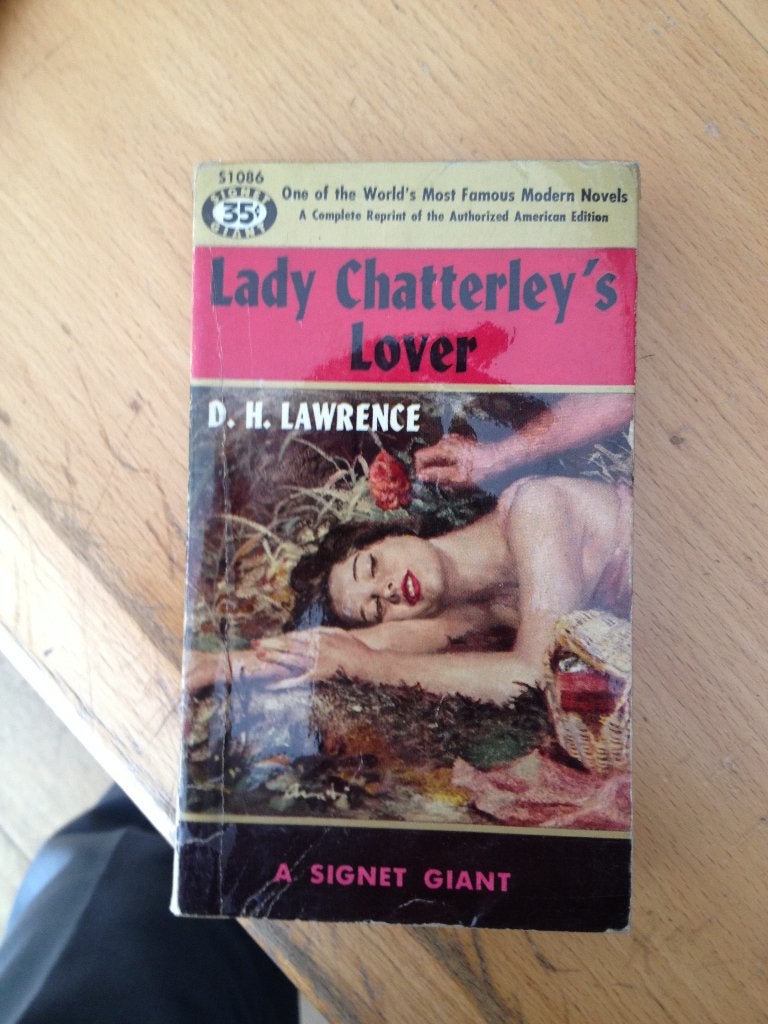 D.H. Lawrence, Boeken, Ophalen of Verzenden, Zo goed als nieuw