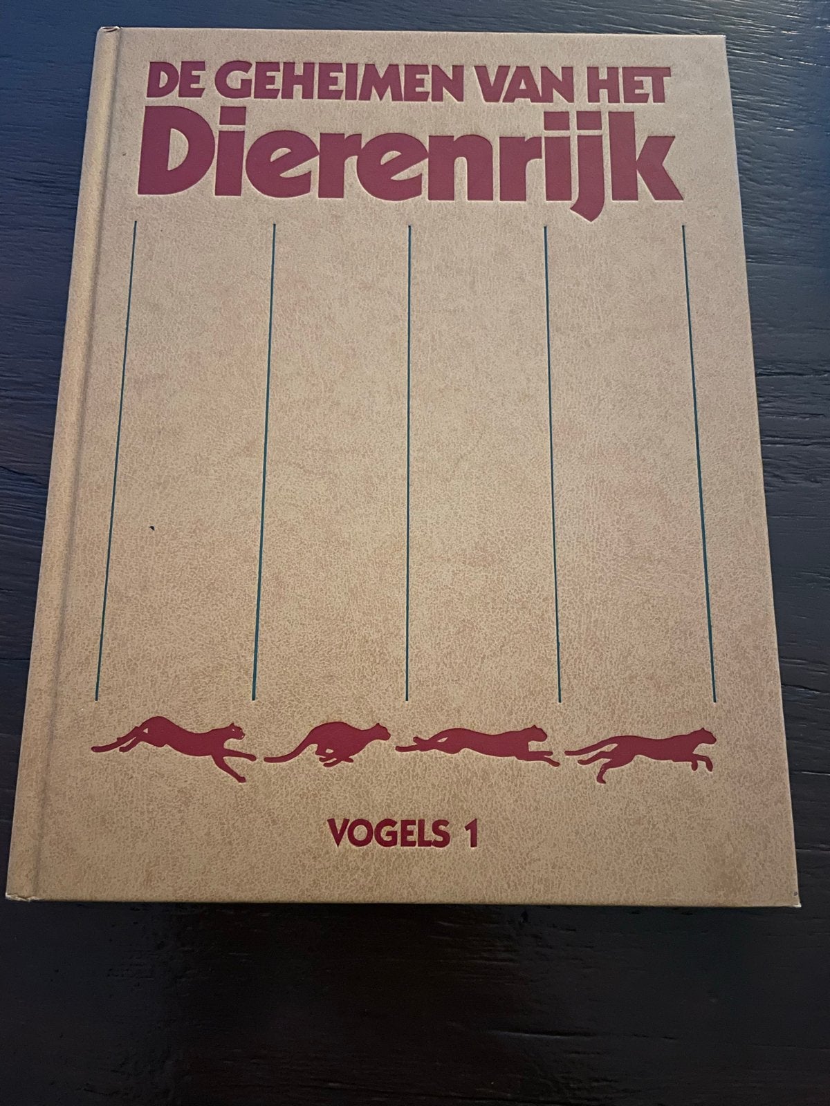 De Geheimen van het Dierenrijk - Vogels 1, Boeken, Ophalen of Verzenden, Gelezen, Vogels