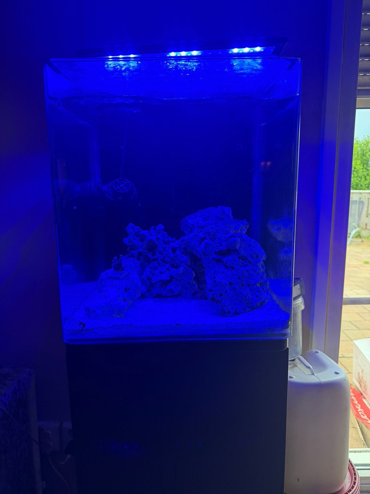 Blue marine 60L of ruilen voor grotere bak!, Dieren en Toebehoren, Ophalen of Verzenden, Zo goed als nieuw, Leeg aquarium