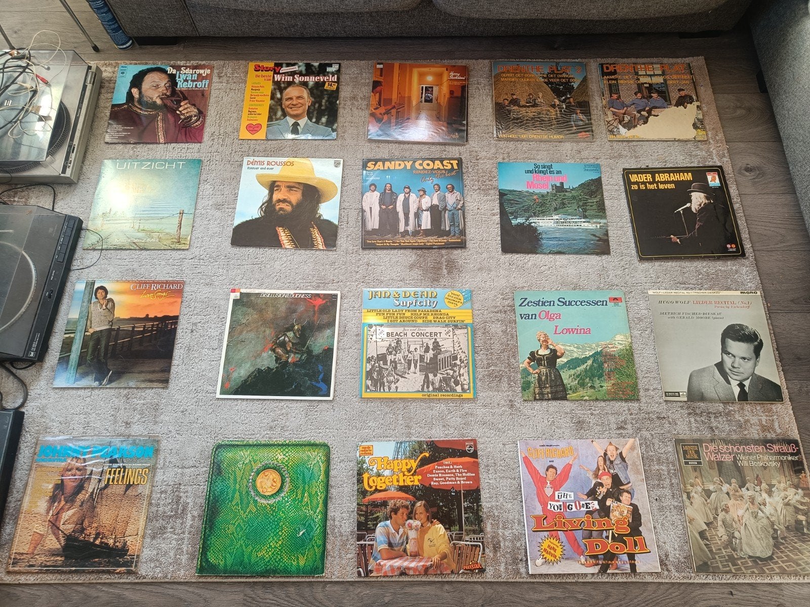 collect lp's/singles in goede staat 1 plaat 5,-/5 platen 20,