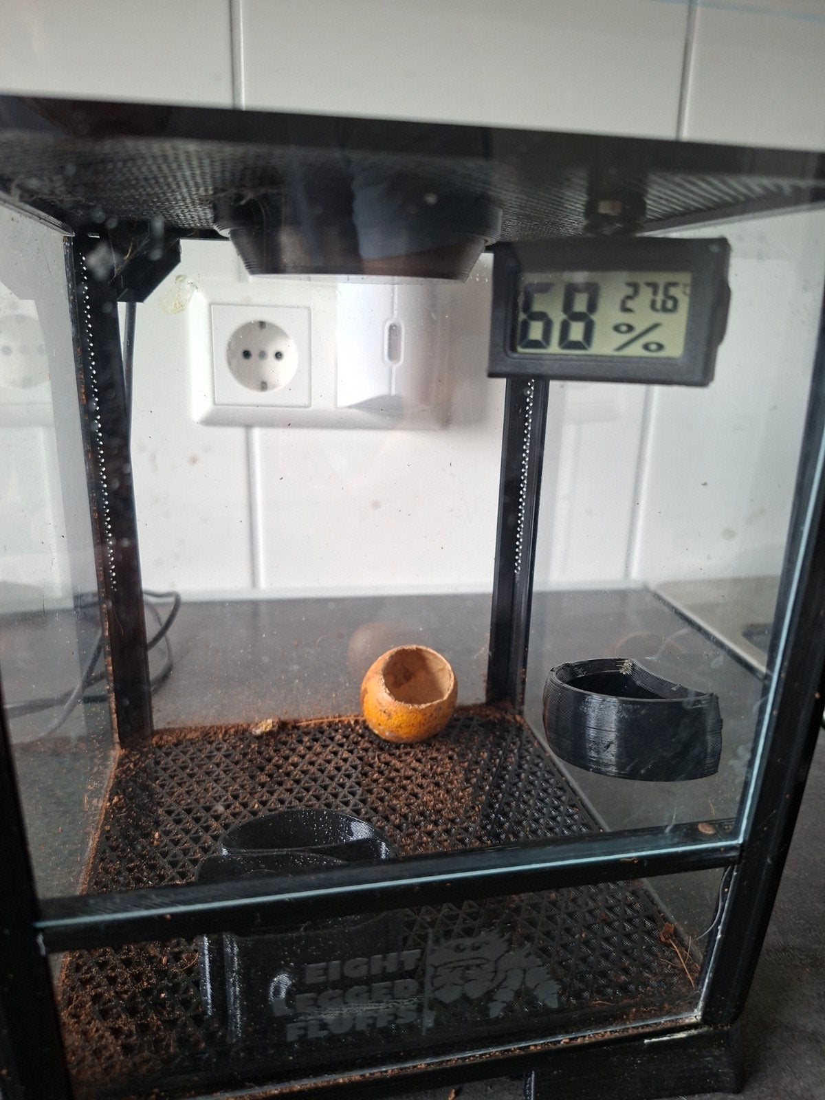 Mooie terrarium voor jumping spiders of andere insecten, Ophalen