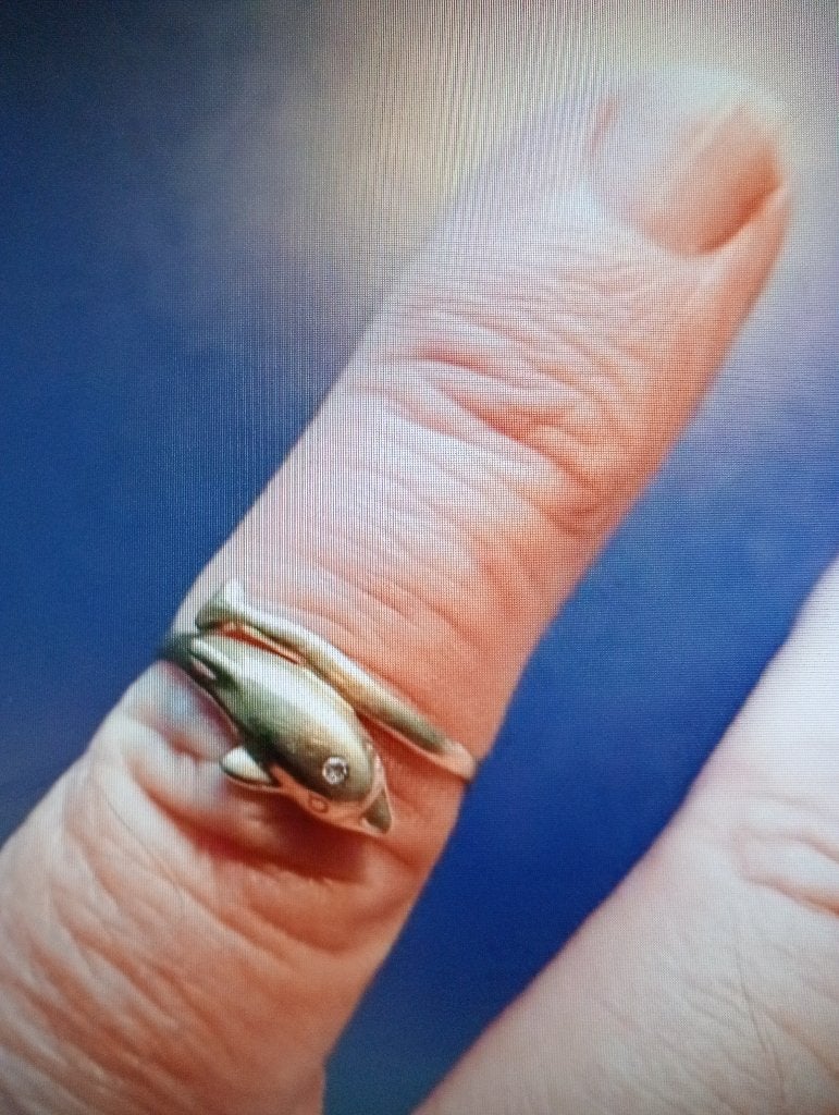 gouden Dolfijn Ring met Briljantje in zetting, Ophalen of Verzenden, Kleiner dan 17, Dame, Goud