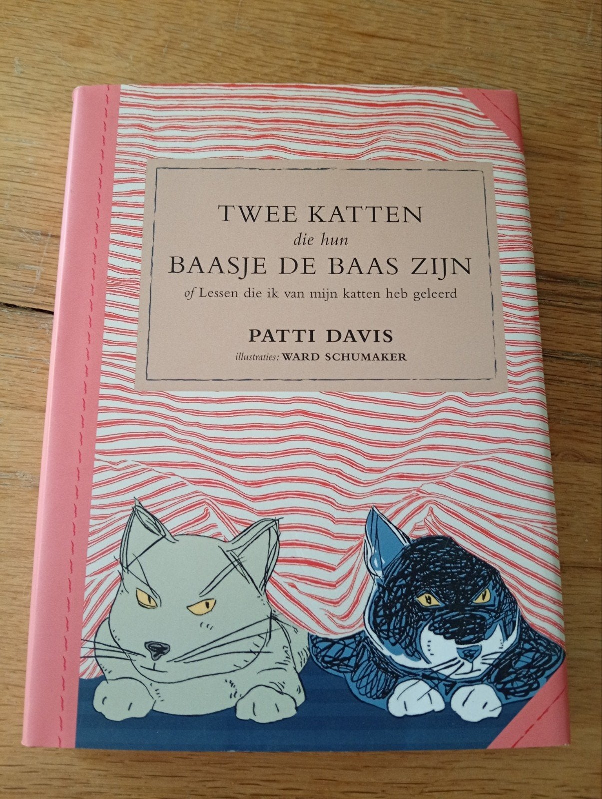 Twee katten die hun baasje de baas zijn - Patti Davis, Ophalen of Verzenden, Zo goed als nieuw, Katten, Patti Davis