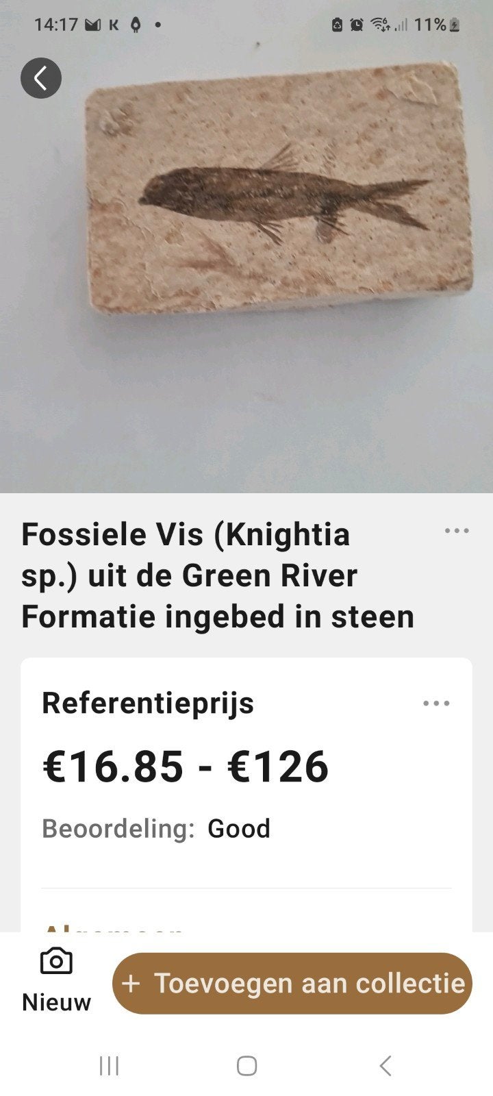 Prachtig fossiel van een vis, Ophalen of Verzenden, Fossiel