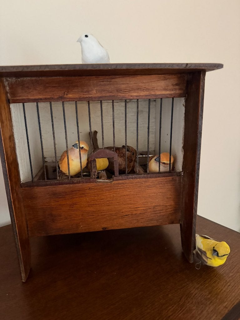 Vogelkooitje, vinkenkooitje, Ophalen
