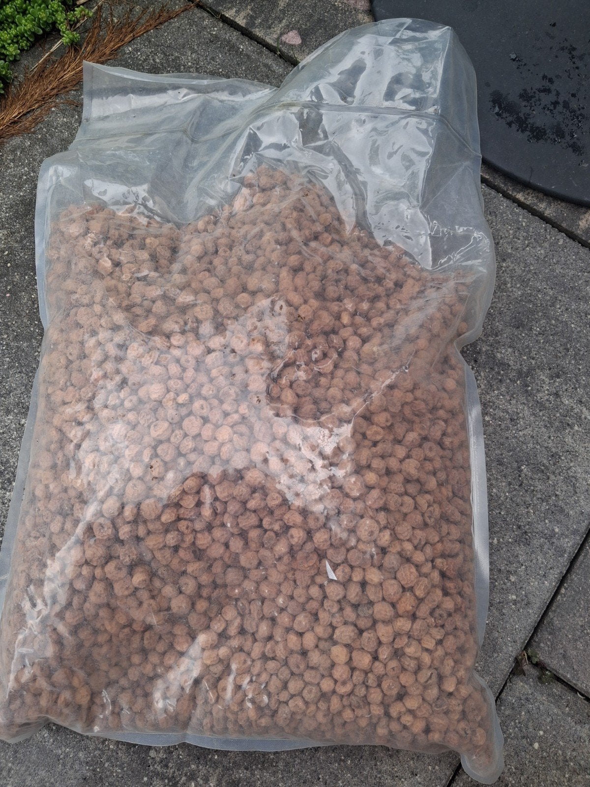 Tijgernoten 5 kg, Ophalen, Overige typen
